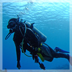 青の洞窟ファンダイビング